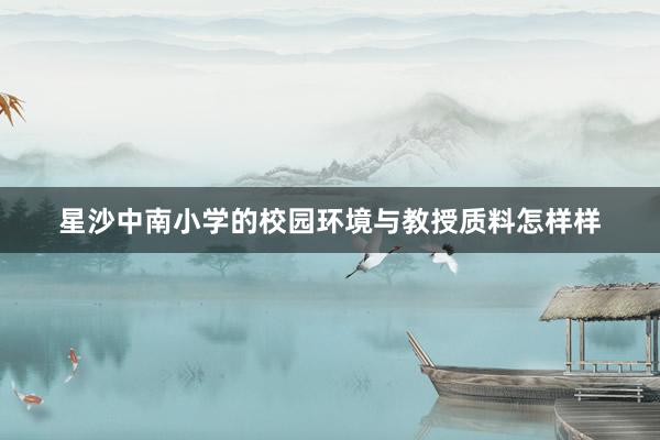 星沙中南小学的校园环境与教授质料怎样样